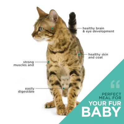 Skin & Digestive Support Salmon & Brown Rice Recipe Dry Cat Food, 3.3-lb bag