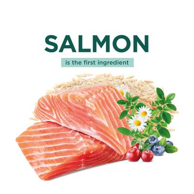 Skin & Digestive Support Salmon & Brown Rice Recipe Dry Cat Food, 3.3-lb bag