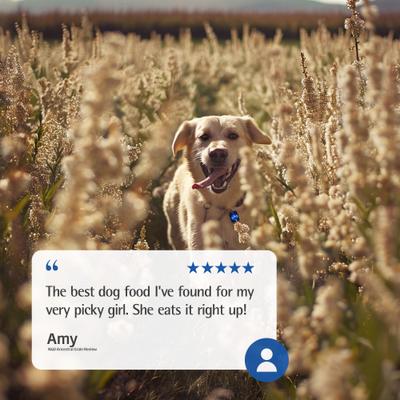 N&D Ancestral Grain Chicken & Pomegranate Recipe Medium & Maxi Adult Light Dry Dog Food, 5.5-lb bag