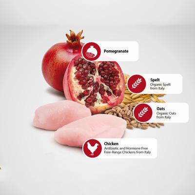 N&D Ancestral Grain Chicken & Pomegranate Recipe Medium & Maxi Adult Light Dry Dog Food, 5.5-lb bag