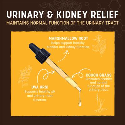 Apothecary Urinary & Kidney Relief Herbal Liquid Supplement for Dogs & Cats, 2-fl oz bottle