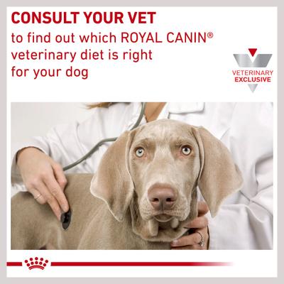 Hydrolyzed Protein Dry Puppy Dog Food, 22-lb bag