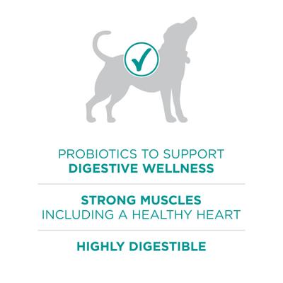 Plus Digestive Health Formula Dry Dog Food, 8-lb bag