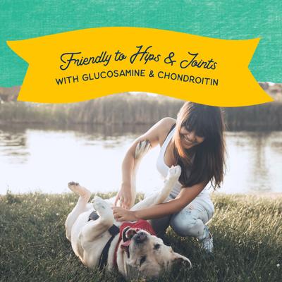 Rewards Jumpin' Stix with Real Chicken Dog Treats, 10-oz bag