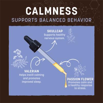 Apothecary Calmness Herbal Liquid Calming Supplement for Dogs & Cats, 2-fl oz bottle