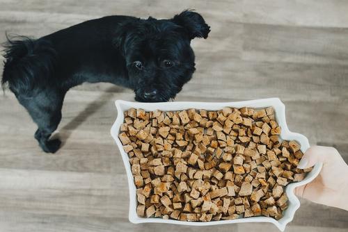 Integra Pet Chick It Out Air Dried Dog Food, 2.5-lb box