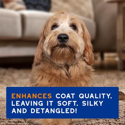 Skin & Coat SPA Ultra-Safe 2 in 1 Conditioning Dog Shampoo, 16-fl oz bottle