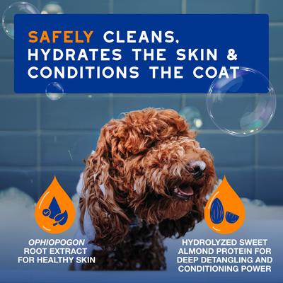 Skin & Coat SPA Ultra-Safe 2 in 1 Conditioning Dog Shampoo, 16-fl oz bottle