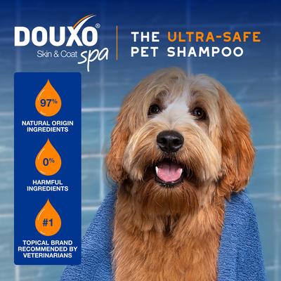 Skin & Coat SPA Ultra-Safe 2 in 1 Conditioning Dog Shampoo, 16-fl oz bottle