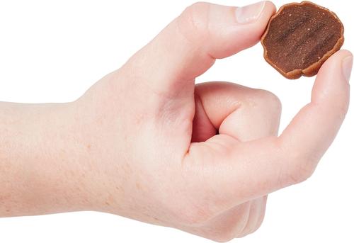 Burger Minis Beef Flavor Dog Treats, 22.5-oz bag