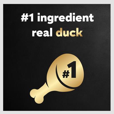 Classic Loaf in Sauce Duck Recipe Dog Food Trays, 3.5-oz, case of 24