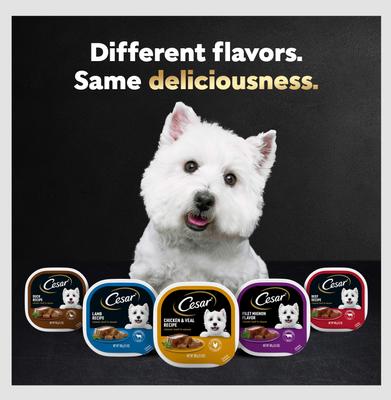 Classic Loaf in Sauce Duck Recipe Dog Food Trays, 3.5-oz, case of 24