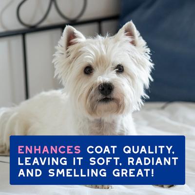 Skin & Coat SPA Ultra-Safe Itch Relief Dog Shampoo, 16-fl oz bottle