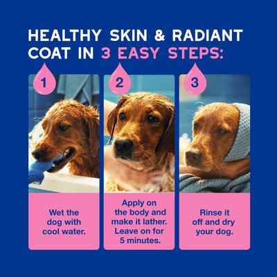 Skin & Coat SPA Ultra-Safe Itch Relief Dog Shampoo, 16-fl oz bottle