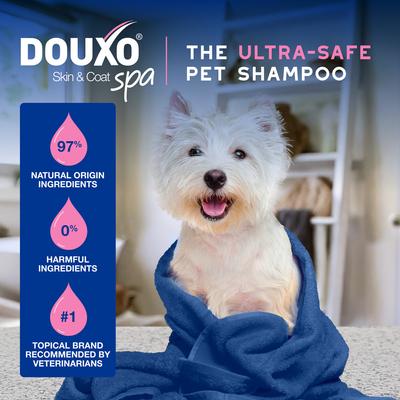 Skin & Coat SPA Ultra-Safe Itch Relief Dog Shampoo, 16-fl oz bottle