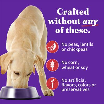 Elevate Smoky BBQ Braised Duck & Beef Stew with White Potatoes, Carrots & Brown Rice Wet Dog Food, 12.7-oz can, case of 6