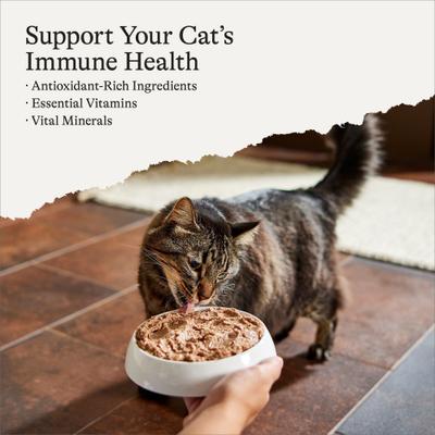 Pate Senior Wet Cat Food Variety Pack, 3-oz can, case of 24