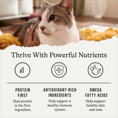 Pate Senior Wet Cat Food Variety Pack, 3-oz can, case of 24