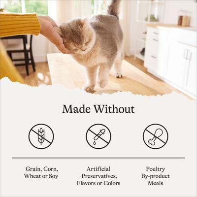 Pate Senior Wet Cat Food Variety Pack, 3-oz can, case of 24