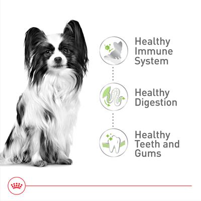 Size Health Nutrition Adult X-Small Dry Dog Food, 14-lb bag