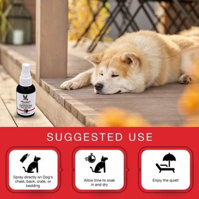 Essential Oil Calming Spray for Dogs, 2.5-oz