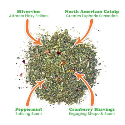 Winter Lift Peppermint, Cranberry, Silvervine, & Catnip Blend Catnip, 26-g jar