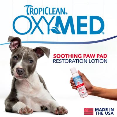 OxyMed Moisturizing Nose & Paw Lotion with Shea Butter Dog & Cat Cream, 4-fl oz bottle