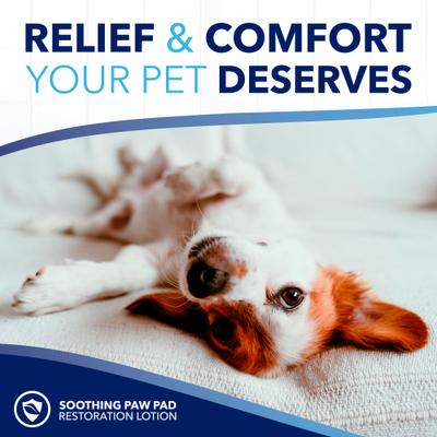 OxyMed Moisturizing Nose & Paw Lotion with Shea Butter Dog & Cat Cream, 4-fl oz bottle