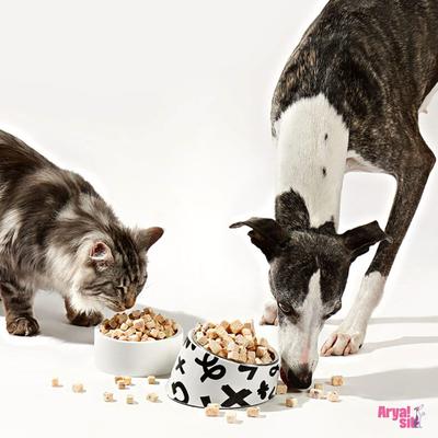 Strawberry Yogurt Freeze-Dried Dog Treats, 3.5-oz jar