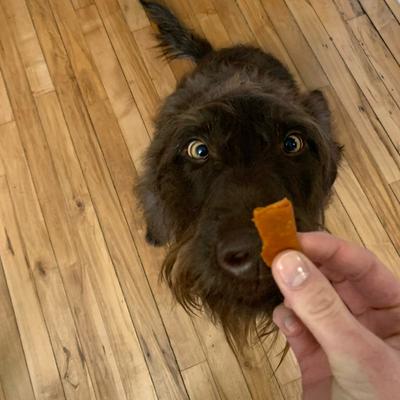 Wrap-Ups Bacon Cheeseburger Pill Wrapper Dog & Cat Treat, 30 count