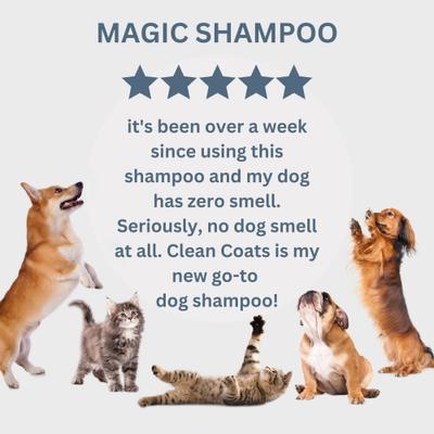 Oatmeal & Aloe Sensitive Skin Dog Shampoo, Fragrance Free, 10-fl oz bottle