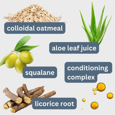 Oatmeal & Aloe Sensitive Skin Dog Shampoo, Fragrance Free, 10-fl oz bottle