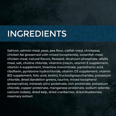 Market Fresh Salmon Recipe Grain-Free Dry Cat Food, 10-lb bag