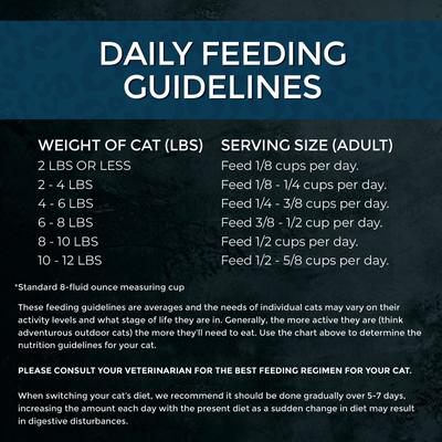 Market Fresh Salmon Recipe Grain-Free Dry Cat Food, 10-lb bag