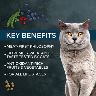 Market Fresh Salmon Recipe Grain-Free Dry Cat Food, 10-lb bag