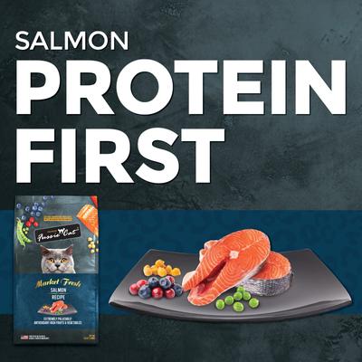 Market Fresh Salmon Recipe Grain-Free Dry Cat Food, 10-lb bag