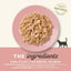Tuna with Salmon in Broth Limited ingredient Wet Cat Food, 2.47-oz pouch, case of 12