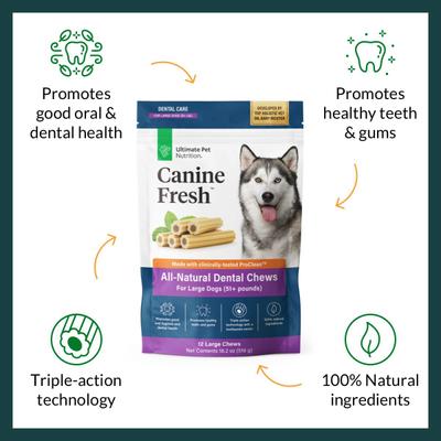 Canine Fresh All-Natural Grain-Free Pork Adult Dental Dog Chews, Large, 12 count