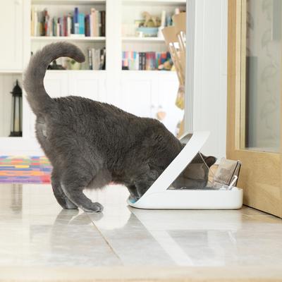 Bundle: SureFeed Microchip Small Feeder + Earthborn Holistic Monterey Medley Grain-Free Natural Canned Cat & Kitten Food