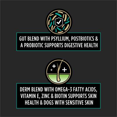 Multi Care Soft Chew Supplement for Dogs, 60 count