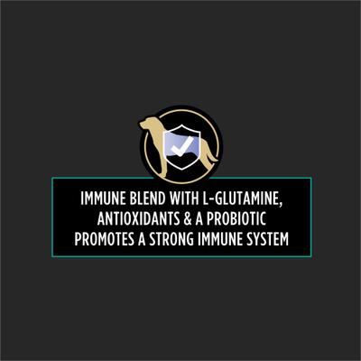 Multi Care Soft Chew Supplement for Dogs, 60 count