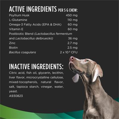 Multi Care Soft Chew Supplement for Dogs, 60 count