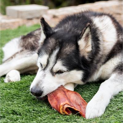 Smoked Pig Ears Dog Treat, 4 count
