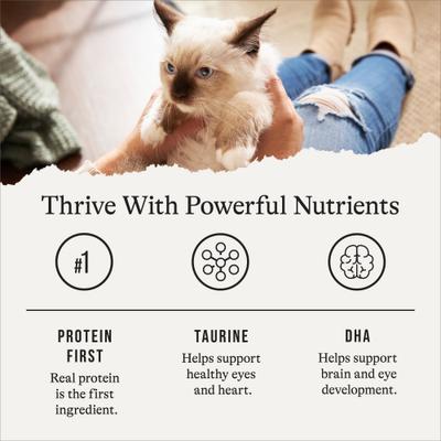 Kitten Pate Chicken Recipe Grain-Free Canned Cat Food, 3-oz can, case of 24