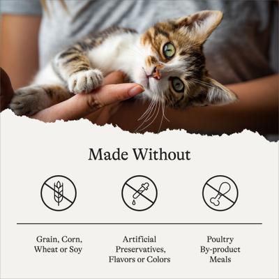 Kitten Pate Chicken Recipe Grain-Free Canned Cat Food, 3-oz can, case of 24