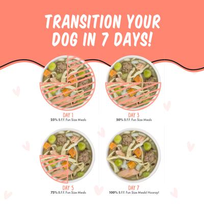 Best Fido Friend Fun Size Meals We Be Jammin' Wet Dog Food, 2.75-oz cup, case of 12