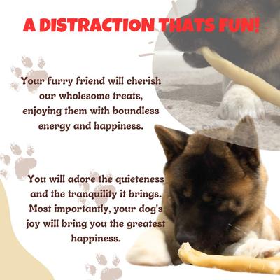 Adult 12-inch Regular Beef Collagen Rolls Natural Dog Chew Treats, 5 count