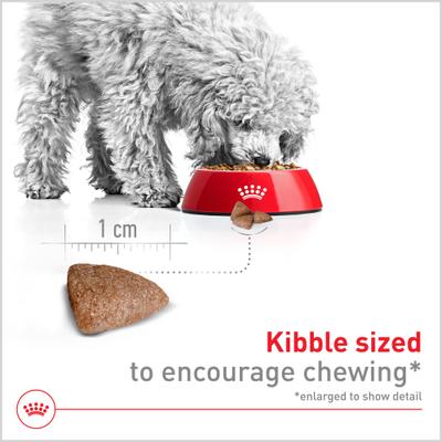 Alimento seco para perros adultos de interior pequeños de Size Health Nutrition, bolsa de 2.5 lb