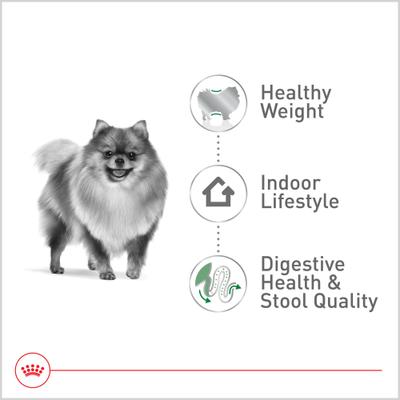 Alimento seco para perros adultos de interior pequeños de Size Health Nutrition, bolsa de 2.5 lb