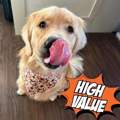 Chirpy Jerky Cricket Sweet Potato Carrot Grain-Free Soft & Chewy Dog Treats, 5-oz bag